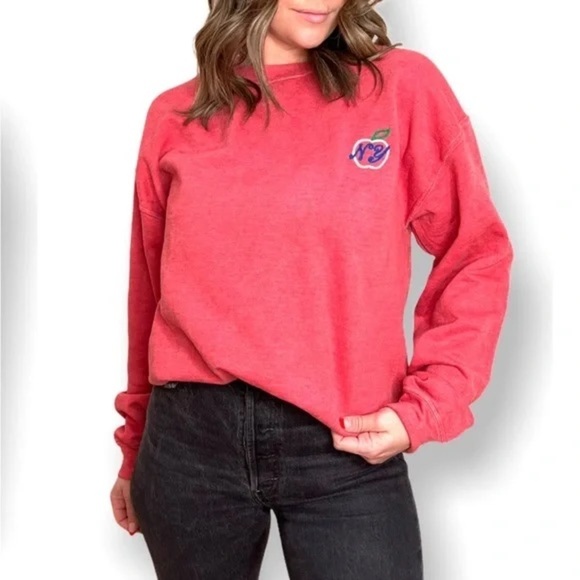 NWT Project Social T NY Apple Embroidered Sweatshirt S/M - Picture 1 of 7